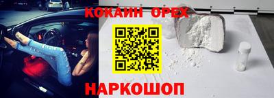 винт Партизанск