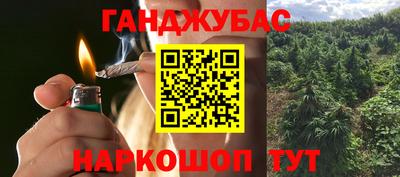 винт Партизанск