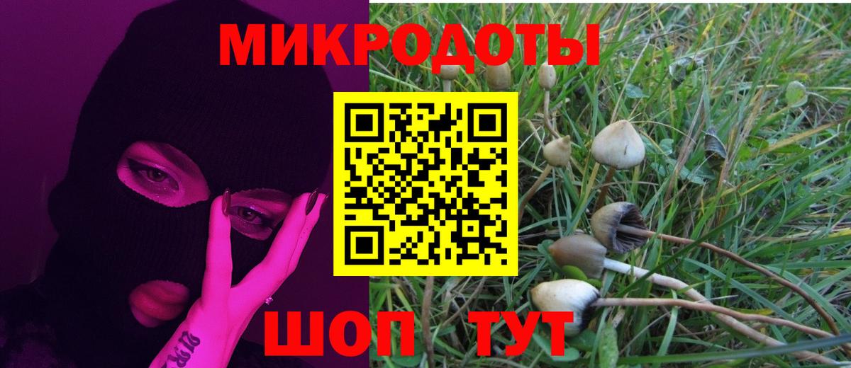 Галлюциногенные грибы Magic Shrooms Алатырь