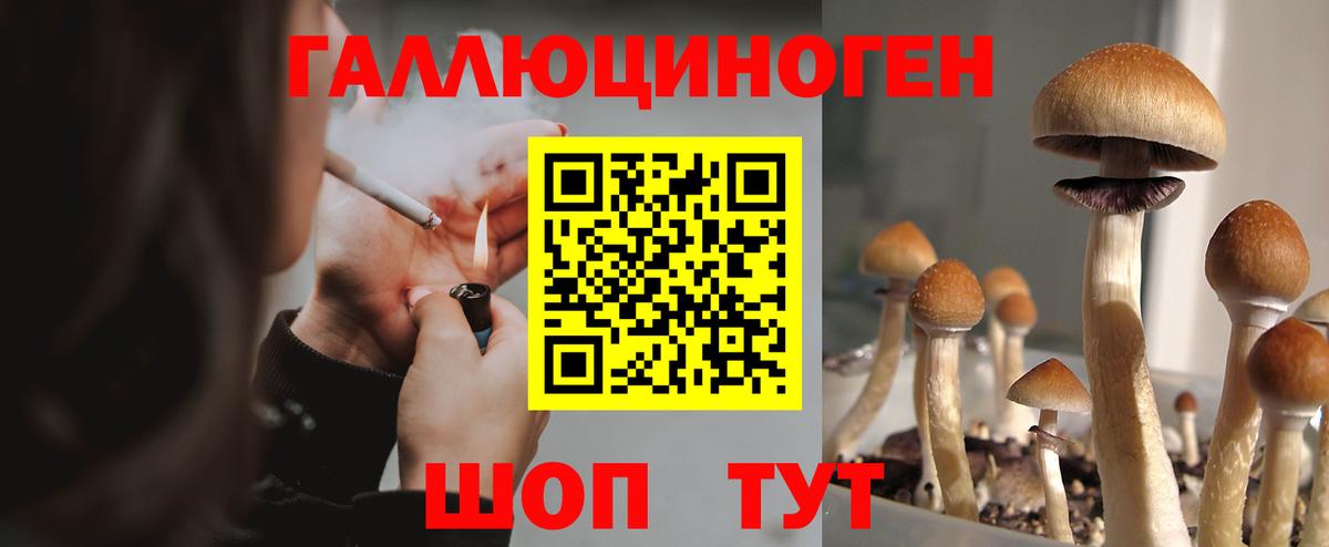 Алатырь  Псилоцибиновые грибы ЛСД  Вход с VPN  Галлюциногенные грибы Psilocybe 